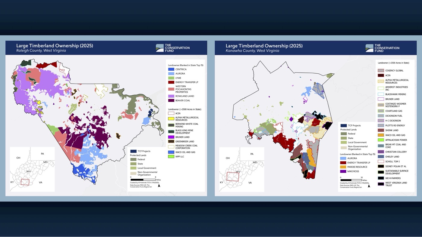 County-level LLC maps